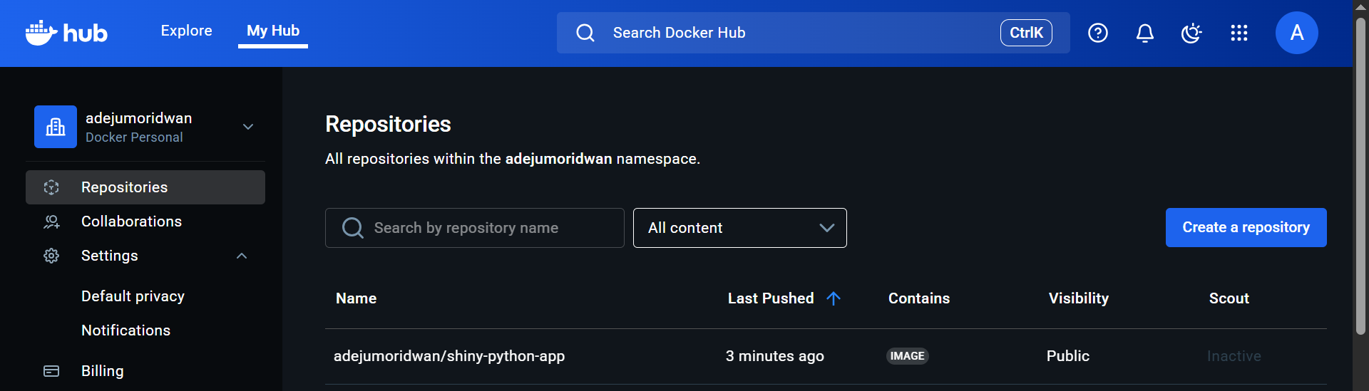 How to Dockerize a Python Shiny Application